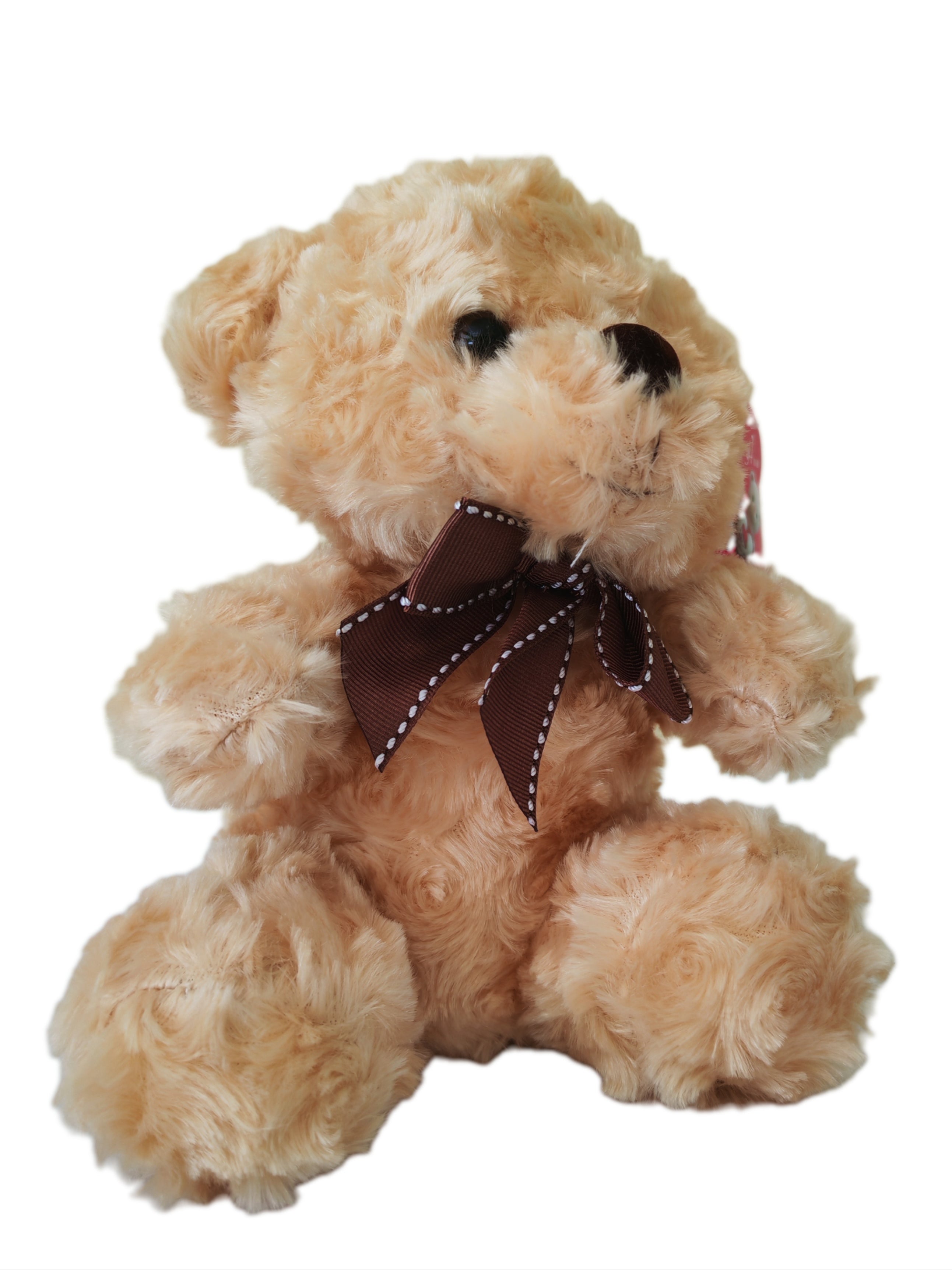 Osito de Peluche - 21 cm